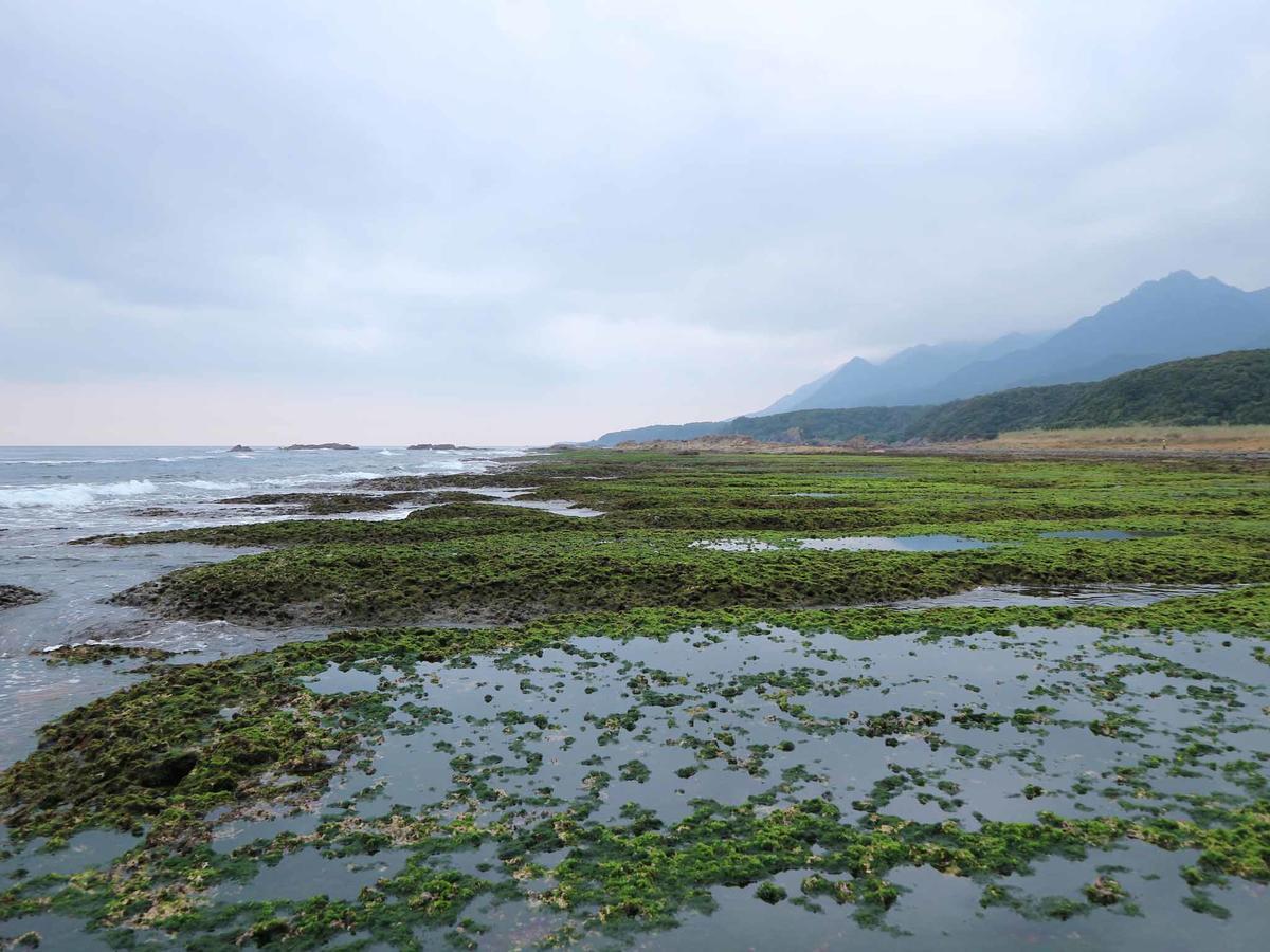 Minshuku Manten Yakushima  Exterior foto